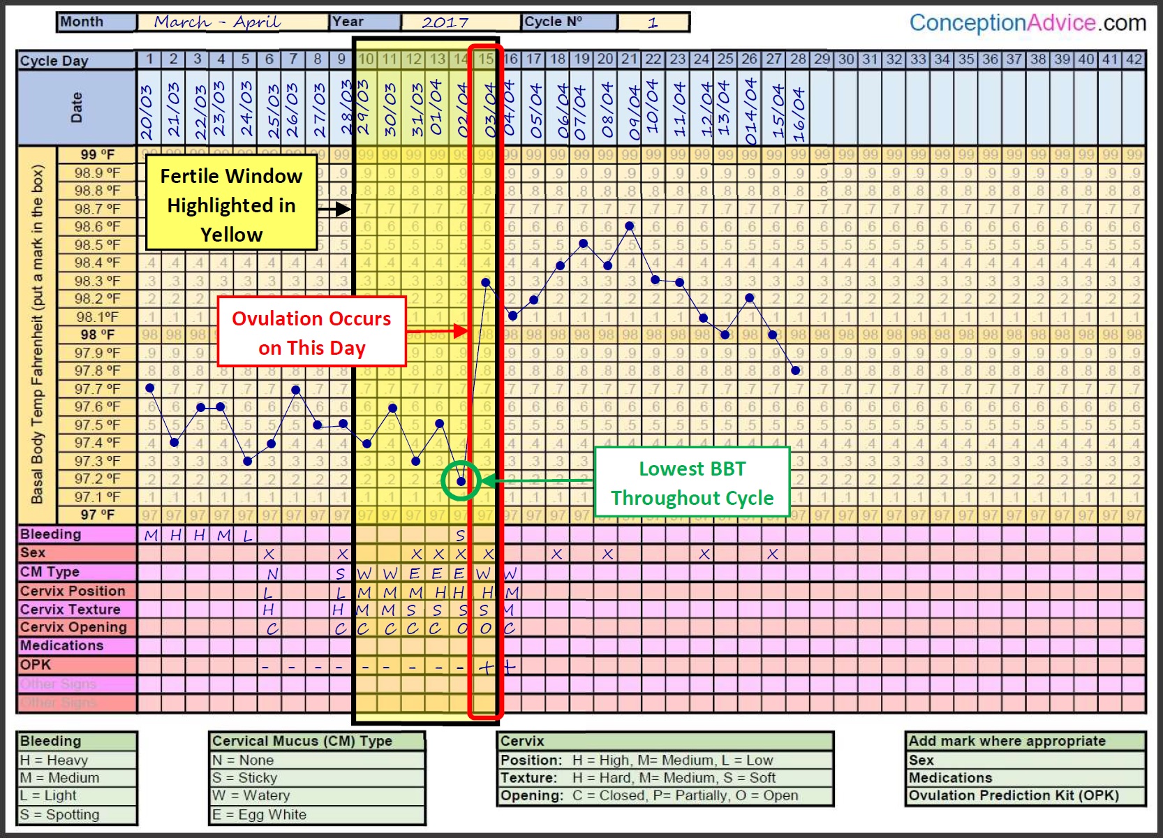 Fertility Charting Fertile Window Calculator Conception Advice